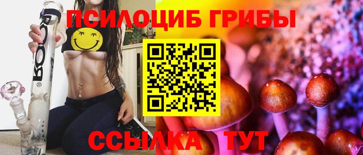 Алексин  Галлюциногенные грибы Cubensis  Вход с VPN 